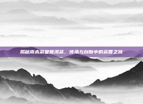 揭秘南木茶堂普洱茶，传承与创新中的茶香之旅