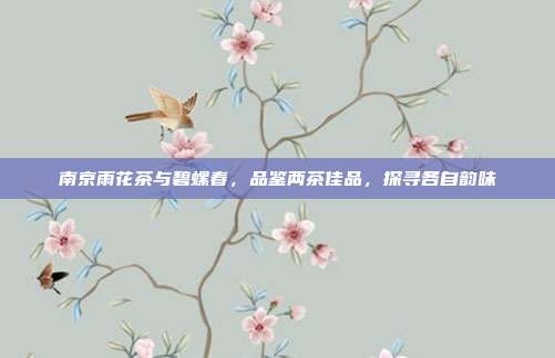南京雨花茶与碧螺春，品鉴两茶佳品，探寻各自韵味