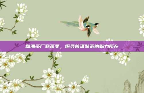 勐海茶厂熟茶吴，探寻普洱熟茶的魅力所在