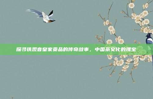探寻铁观音皇家贡品的传奇故事，中国茶文化的瑰宝