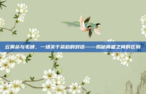 云雾茶与毛峰，一场关于茶韵的对话——揭秘两者之间的区别