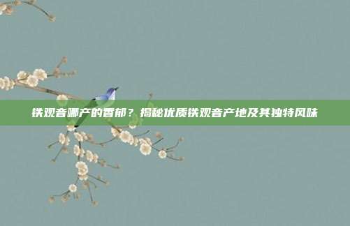 铁观音哪产的香郁？揭秘优质铁观音产地及其独特风味