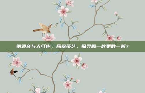 铁观音与大红袍，品鉴茶艺，探寻哪一款更胜一筹？