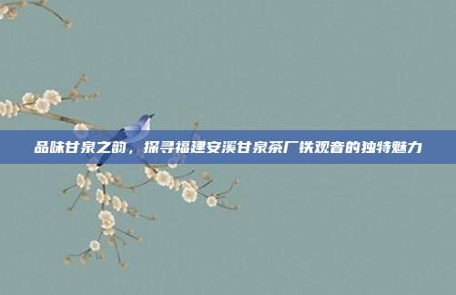 品味甘泉之韵，探寻福建安溪甘泉茶厂铁观音的独特魅力