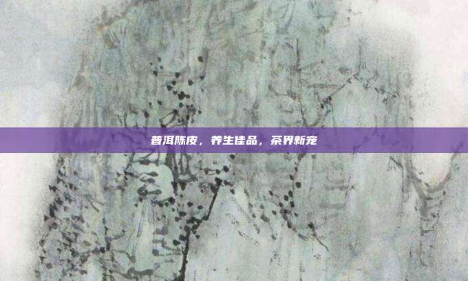 普洱陈皮，养生佳品，茶界新宠