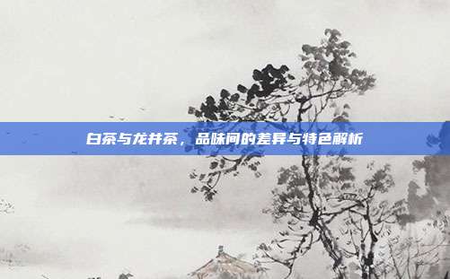 白茶与龙井茶，品味间的差异与特色解析