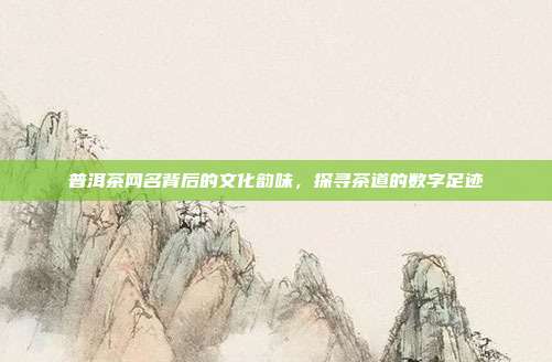 普洱茶网名背后的文化韵味，探寻茶道的数字足迹