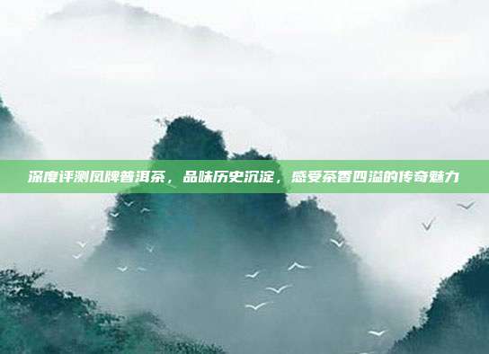 深度评测凤牌普洱茶，品味历史沉淀，感受茶香四溢的传奇魅力