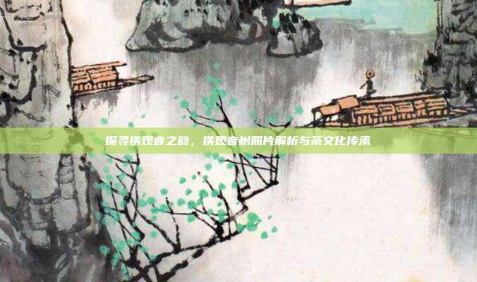 探寻铁观音之韵，铁观音树照片解析与茶文化传承