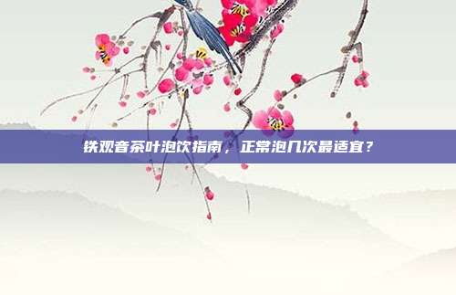 铁观音茶叶泡饮指南，正常泡几次最适宜？