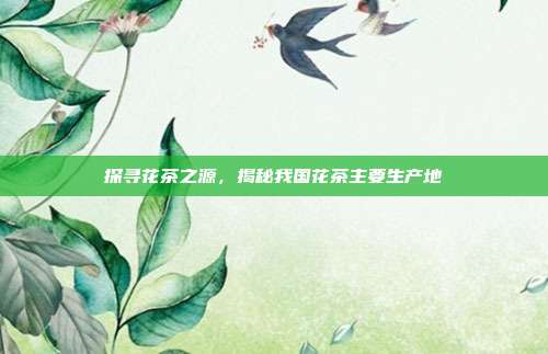 探寻花茶之源，揭秘我国花茶主要生产地