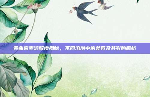 黄曲霉素溶解度揭秘，不同溶剂中的差异及其影响解析