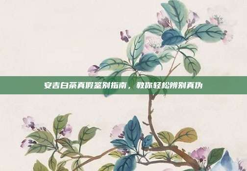 安吉白茶真假鉴别指南，教你轻松辨别真伪