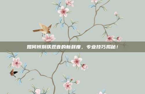 如何辨别铁观音的新鲜度，专业技巧揭秘！