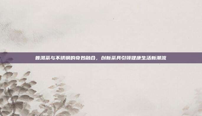 普洱茶与不锈钢的奇妙融合，创新茶具引领健康生活新潮流