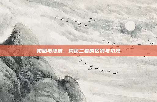 柑胎与陈皮，揭秘二者的区别与功效
