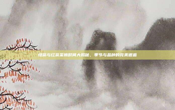 绿茶与红茶采摘时间大揭秘，季节与品种的完美邂逅