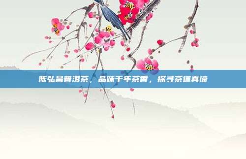 陈弘昌普洱茶，品味千年茶香，探寻茶道真谛
