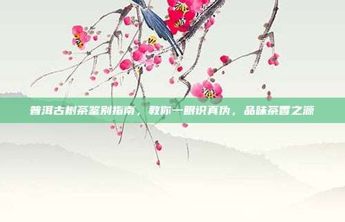 普洱古树茶鉴别指南，教你一眼识真伪，品味茶香之源