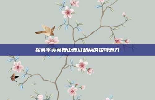 探寻李美英景迈普洱熟茶的独特魅力