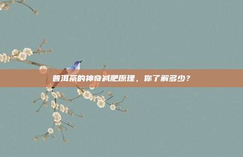 普洱茶的神奇减肥原理，你了解多少？