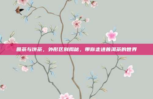 圆茶与饼茶，外形区别揭秘，带你走进普洱茶的世界