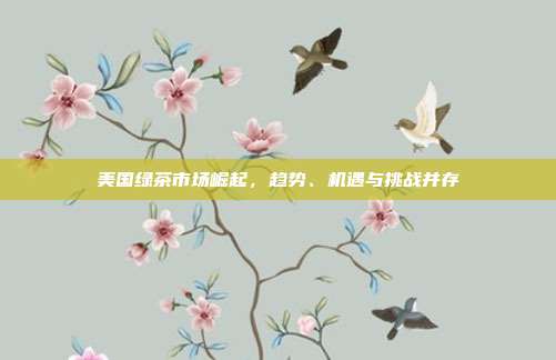 美国绿茶市场崛起，趋势、机遇与挑战并存