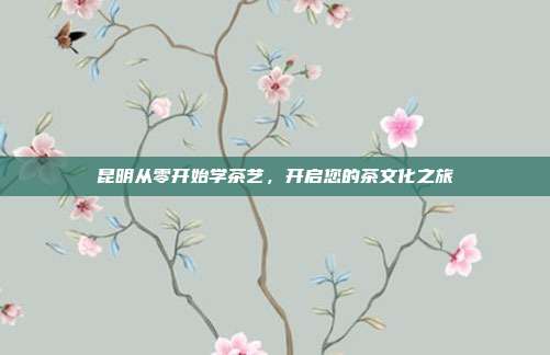 昆明从零开始学茶艺，开启您的茶文化之旅