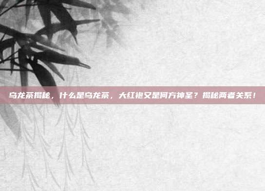 乌龙茶揭秘，什么是乌龙茶，大红袍又是何方神圣？揭秘两者关系！