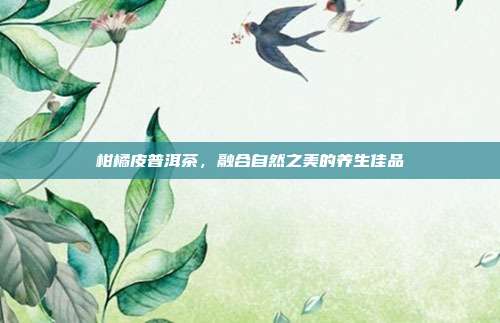 柑橘皮普洱茶，融合自然之美的养生佳品