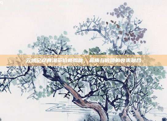 云域记忆普洱茶价格揭秘，品质与价值的完美融合