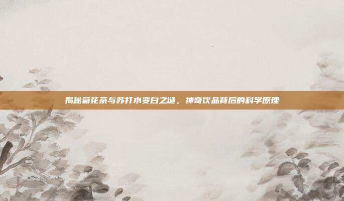 揭秘菊花茶与苏打水变白之谜，神奇饮品背后的科学原理