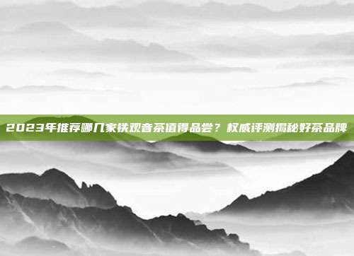 2023年推荐哪几家铁观音茶值得品尝？权威评测揭秘好茶品牌