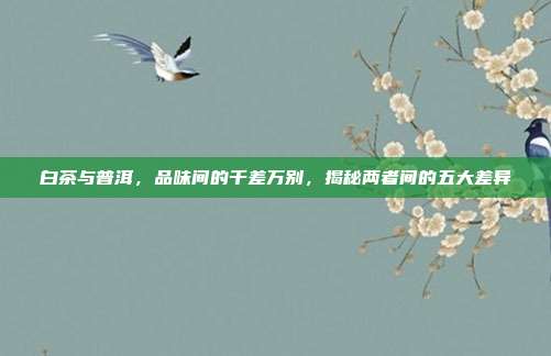 白茶与普洱，品味间的千差万别，揭秘两者间的五大差异