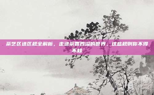 茶艺区进区规全解析，走进茶香四溢的世界，这些规则你不得不知
