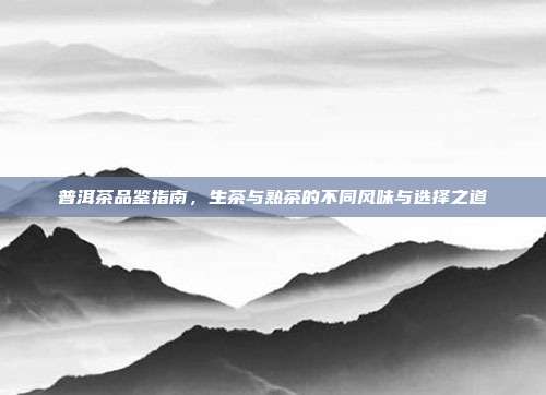 普洱茶品鉴指南，生茶与熟茶的不同风味与选择之道