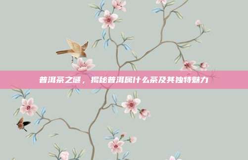 普洱茶之谜，揭秘普洱属什么茶及其独特魅力
