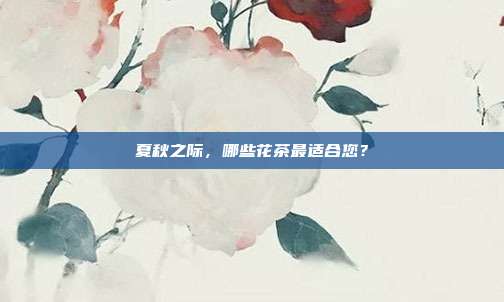 夏秋之际，哪些花茶最适合您？