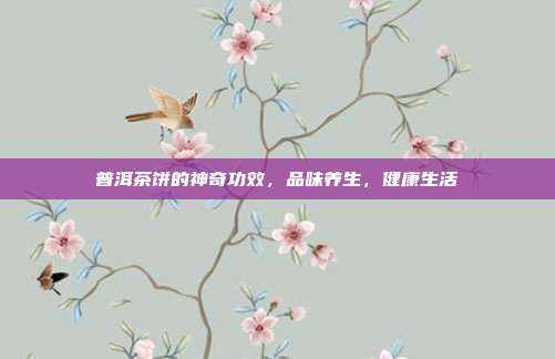 普洱茶饼的神奇功效，品味养生，健康生活