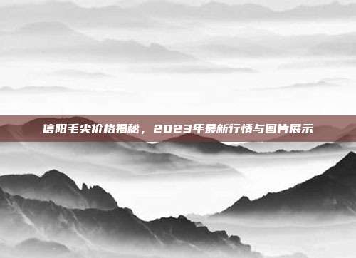 信阳毛尖价格揭秘，2023年最新行情与图片展示