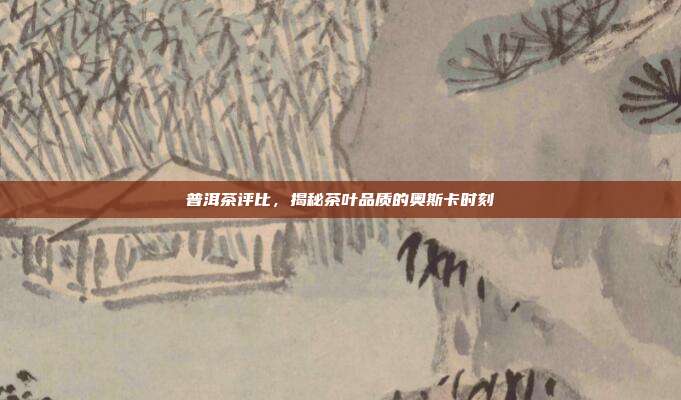 普洱茶评比，揭秘茶叶品质的奥斯卡时刻