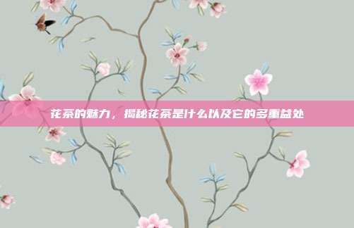 花茶的魅力，揭秘花茶是什么以及它的多重益处