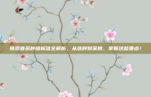 铁观音茶种植标准全解析，从选种到采摘，掌握这些要点！