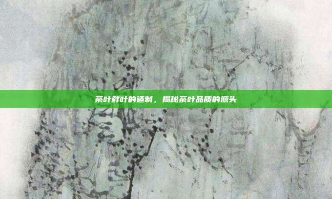 茶叶鲜叶的适制，揭秘茶叶品质的源头