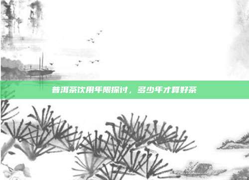 普洱茶饮用年限探讨，多少年才算好茶