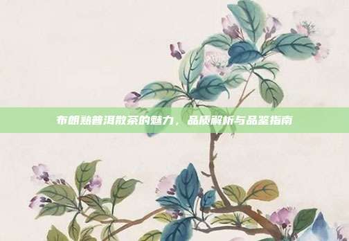布朗熟普洱散茶的魅力，品质解析与品鉴指南