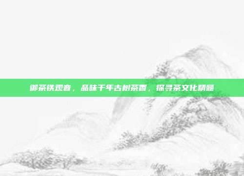 御茶铁观音，品味千年古树茶香，探寻茶文化精髓