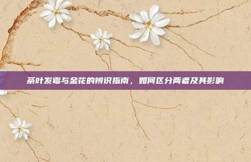 茶叶发霉与金花的辨识指南，如何区分两者及其影响