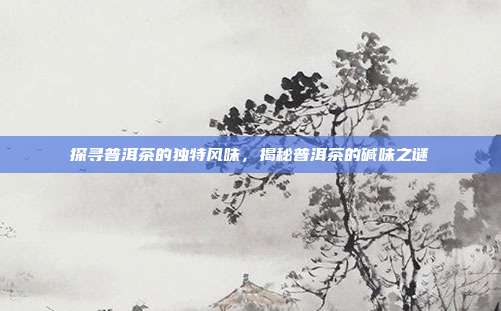 探寻普洱茶的独特风味，揭秘普洱茶的碱味之谜