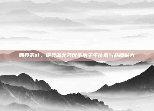 郧县茶叶，探寻湖北名优茶的千年传承与品质魅力